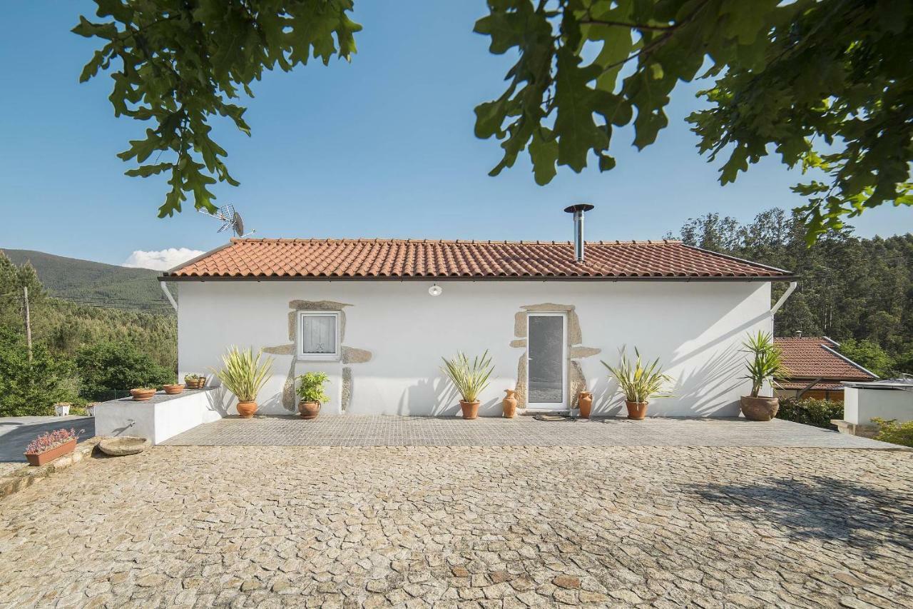 Villa Casa Do Porto Carreiro Oliveira de Azeméis Exterior foto